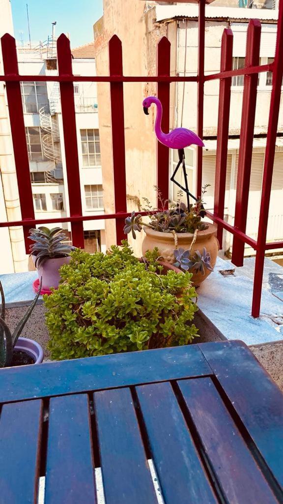 Quiet City Centre Apartment With Large Balcony سالونيك المظهر الخارجي الصورة